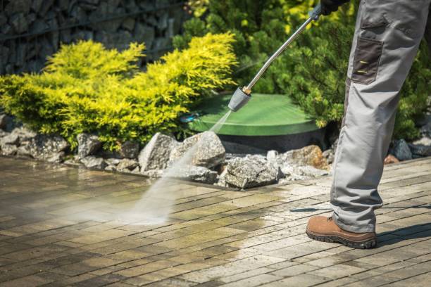 Best Spring Cleaning  in Merrick, NY