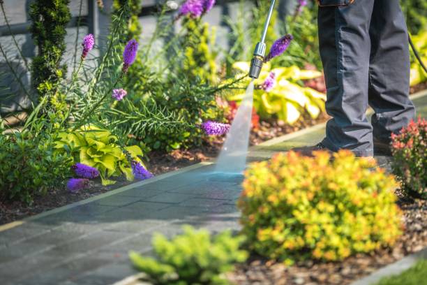 Professional Pressure Washing in Merrick, NY